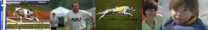 Banner Photo Collage
