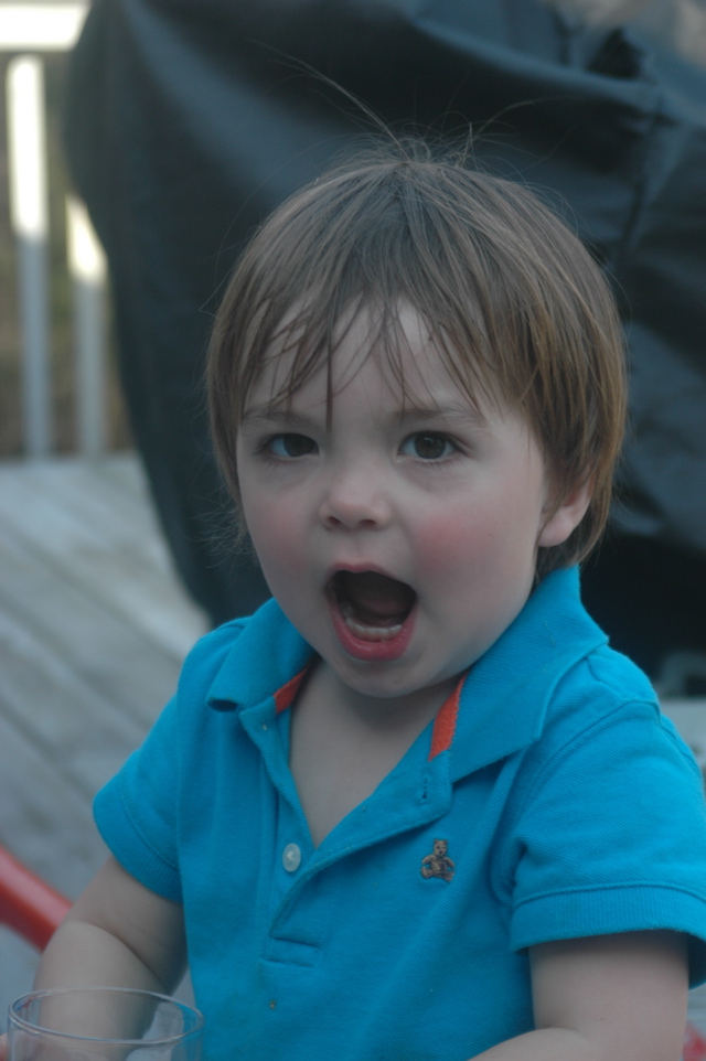 DSC_4427.JPG