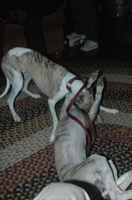 DSC_0876.JPG