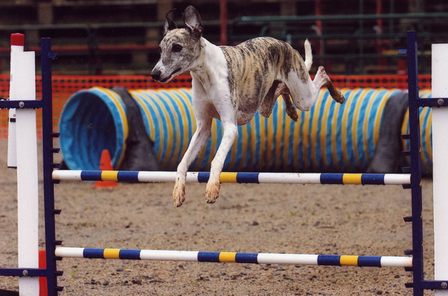 Wyatt Jump 1 
