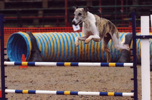 Wyatt Jump 2 