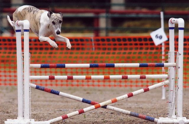 Wyatt Jump 5