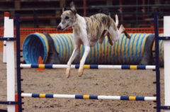 Wyatt Jump 1 