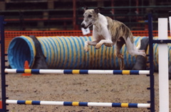Wyatt Jump 2 