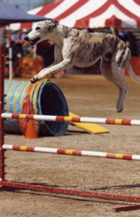 Patriot Jump 3