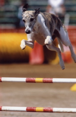 Wyatt Jump 6