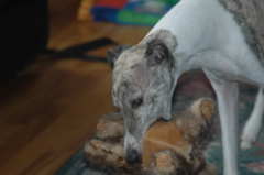 DSC_2915.JPG