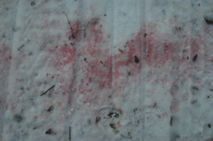 DSC_4174.JPG