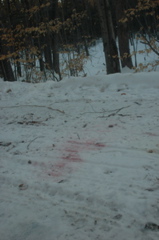 DSC_4179.JPG