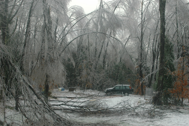 DSC_5194.JPG