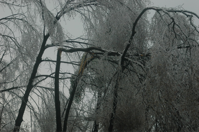 DSC_5201.JPG