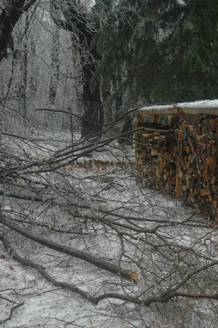 DSC_5203.JPG