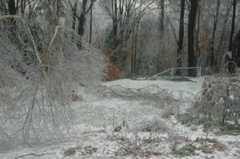 DSC_5195.JPG
