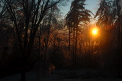 DSC_5214.JPG