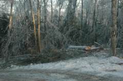 DSC_5227.JPG