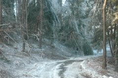 DSC_5230.JPG