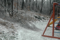 DSC_5200.JPG