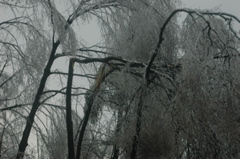 DSC_5201.JPG