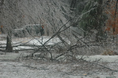 DSC_5202.JPG