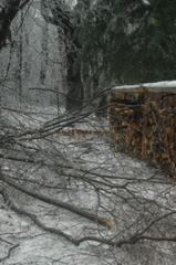 DSC_5203.JPG