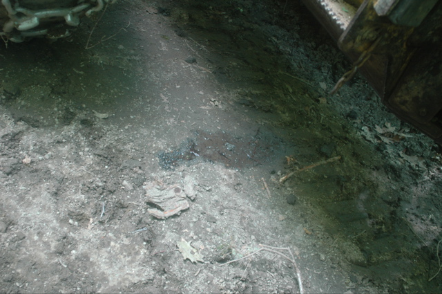 DSC_4605.JPG