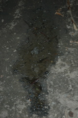 DSC_4607.JPG