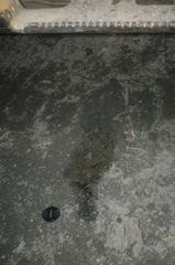 DSC_4608.JPG