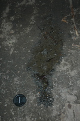DSC_4609.JPG