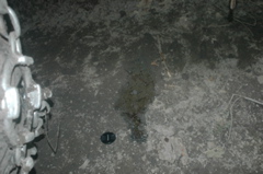 DSC_4610.JPG