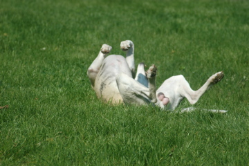 DSC_3376.JPG