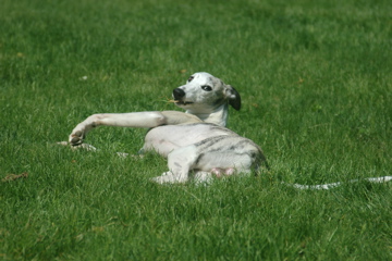 DSC_3377.JPG