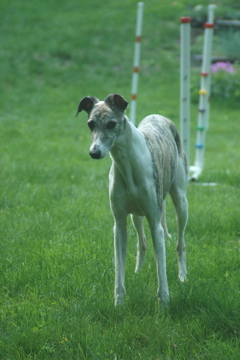 DSC_3419.JPG