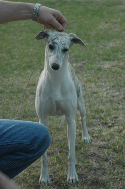 DSC_3227.JPG