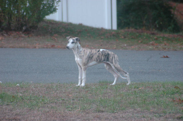 DSC_3919.JPG