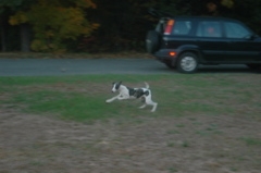 DSC_3896.JPG