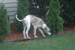 DSC_3938.JPG