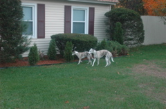 DSC_3950.JPG