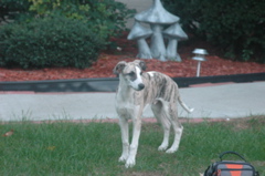 DSC_3952.JPG
