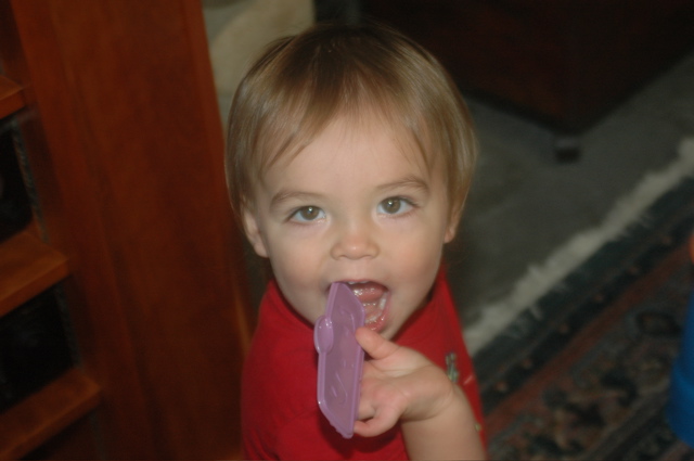 DSC_4013.JPG