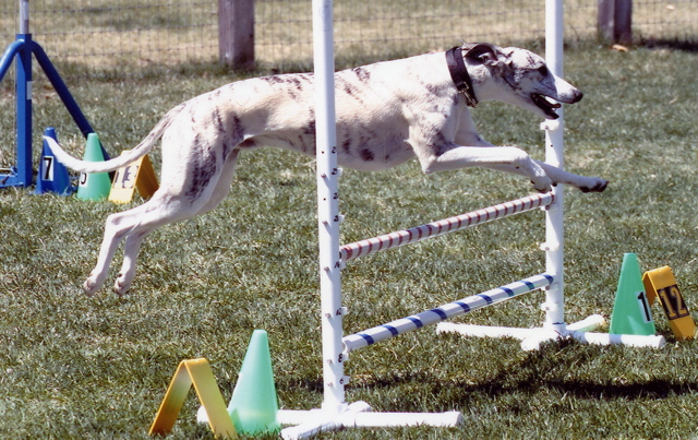 PatriotJump0000
