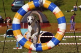 PatriotTire