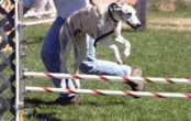 patriotJump