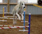 PatriotJump