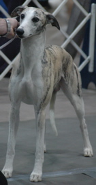 DSC_1117.JPG