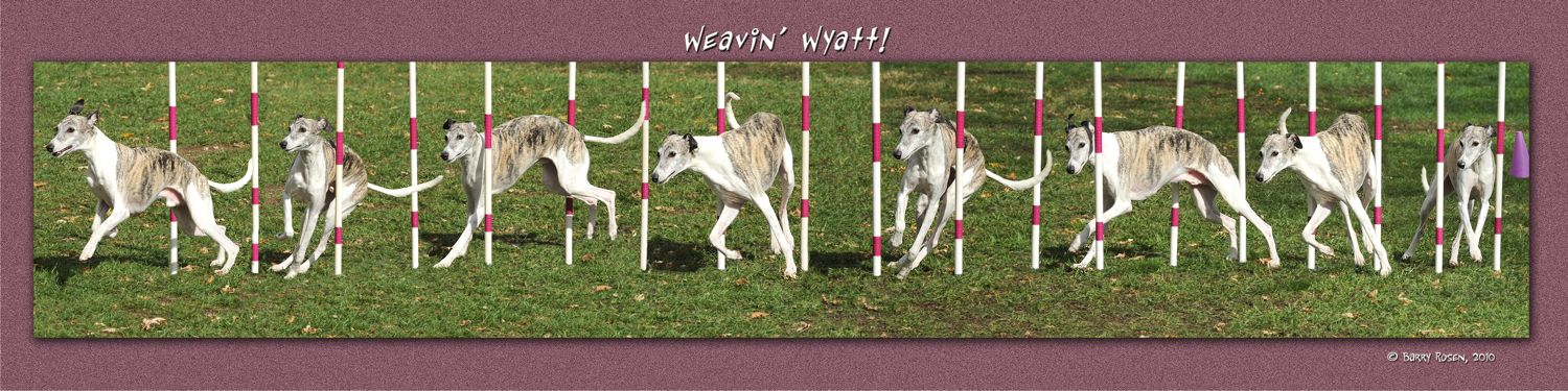Wyatt Weaves Hi Res
