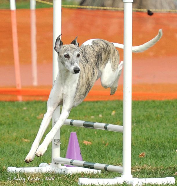 Wyatt Jump