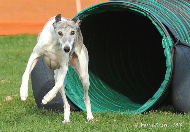 Wyatt Tunnel 2