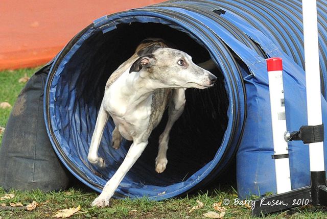 Wyatt Tunnel 3
