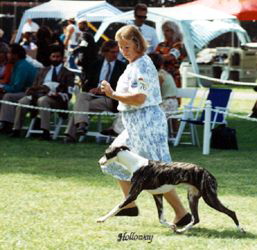 broadgeorge1