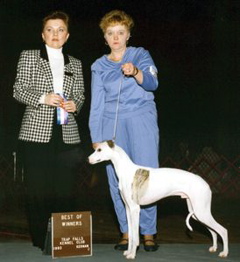 Bugsy